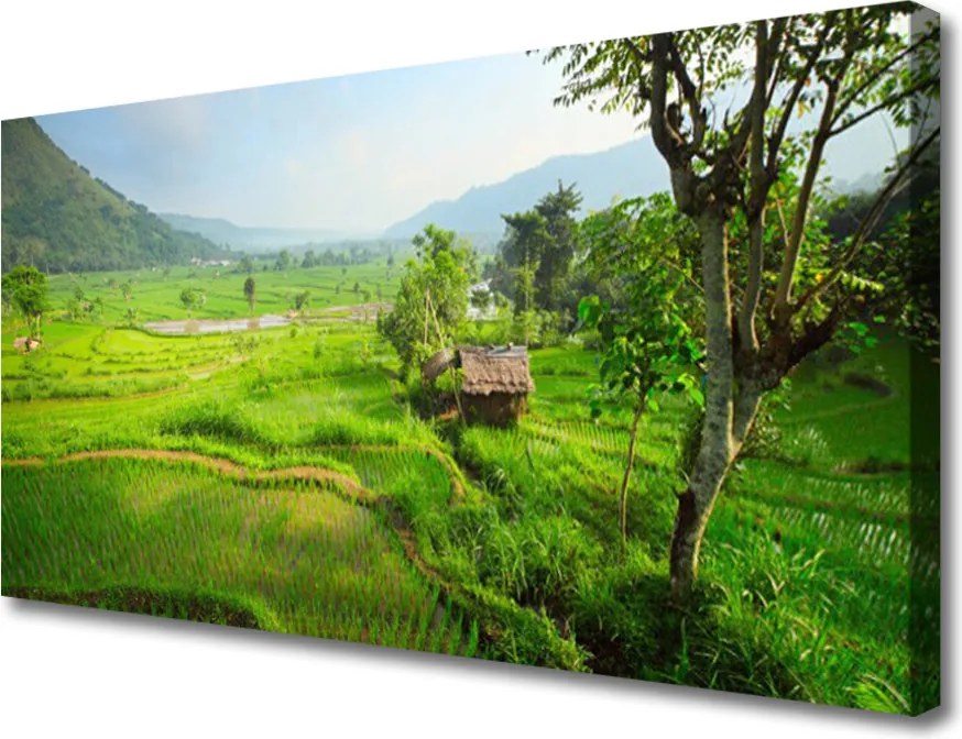 Obraz na płótnie Sielska Zielona Łąka