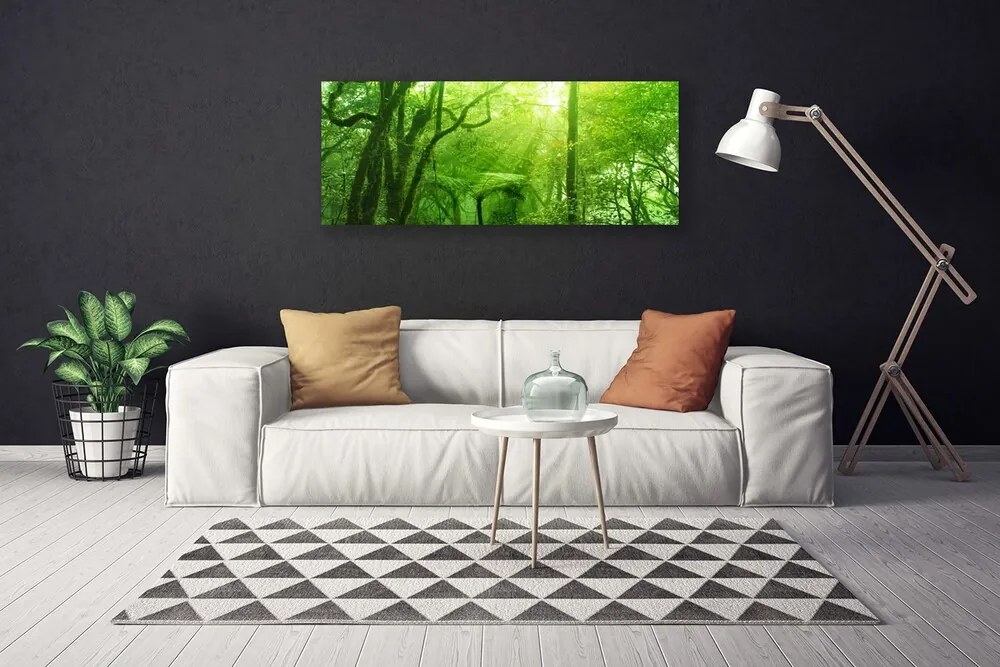 Obraz drukowany na płótnie Las w Letnim Słońcu