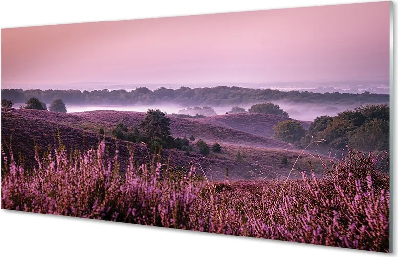 Szkło do Kuchni na Ścianę Wrzosy w Pełnym Rozkwicie
