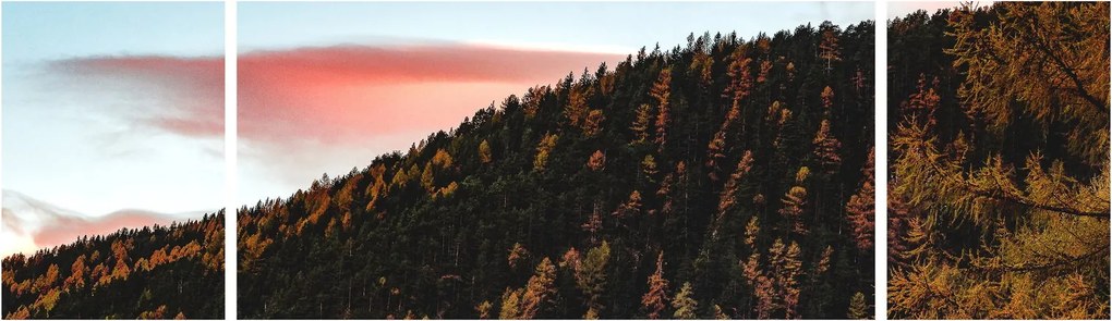 Obraz rudzików nad wzgórzem (170x50 cm)