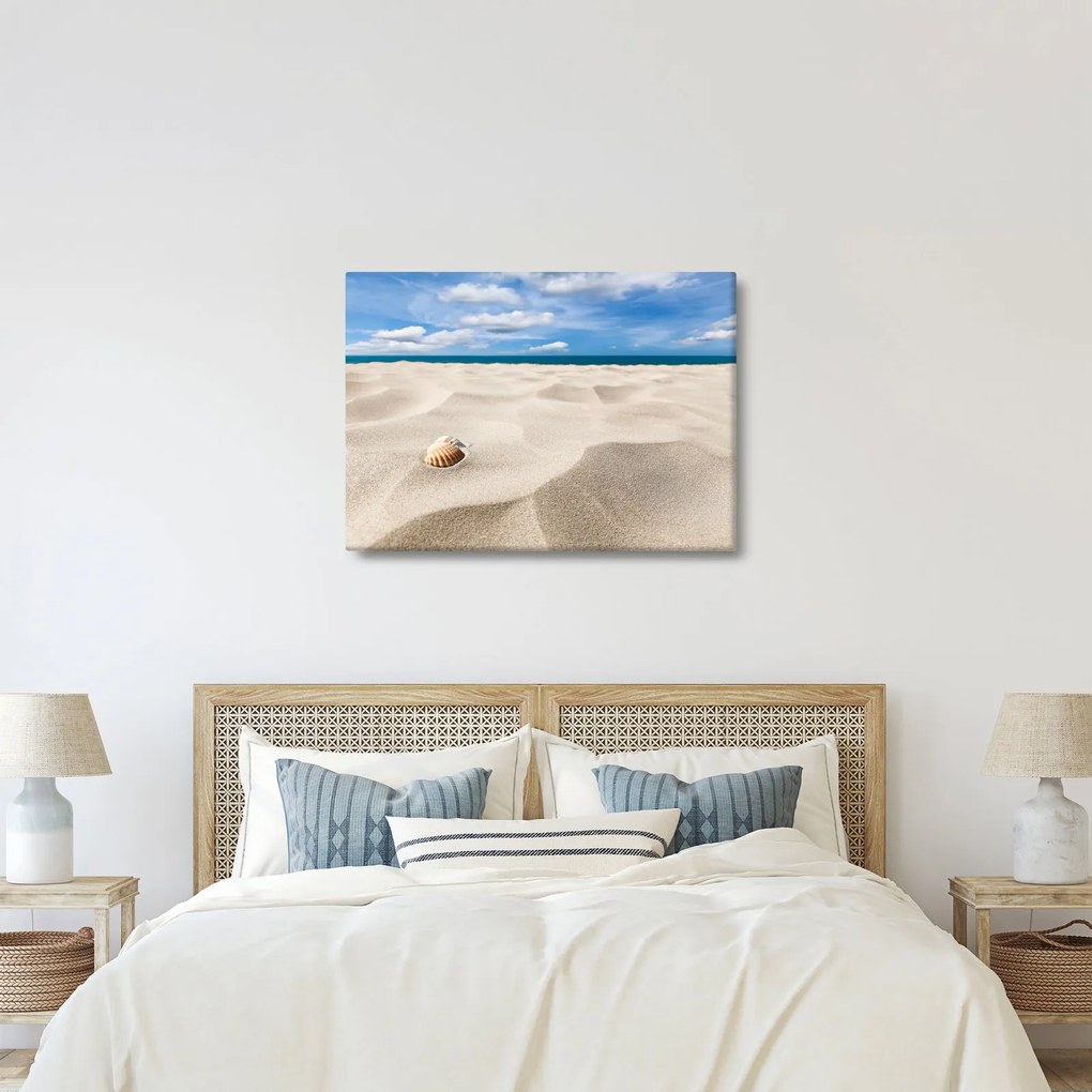 Obraz - Muszle na plaży (70x50 cm)
