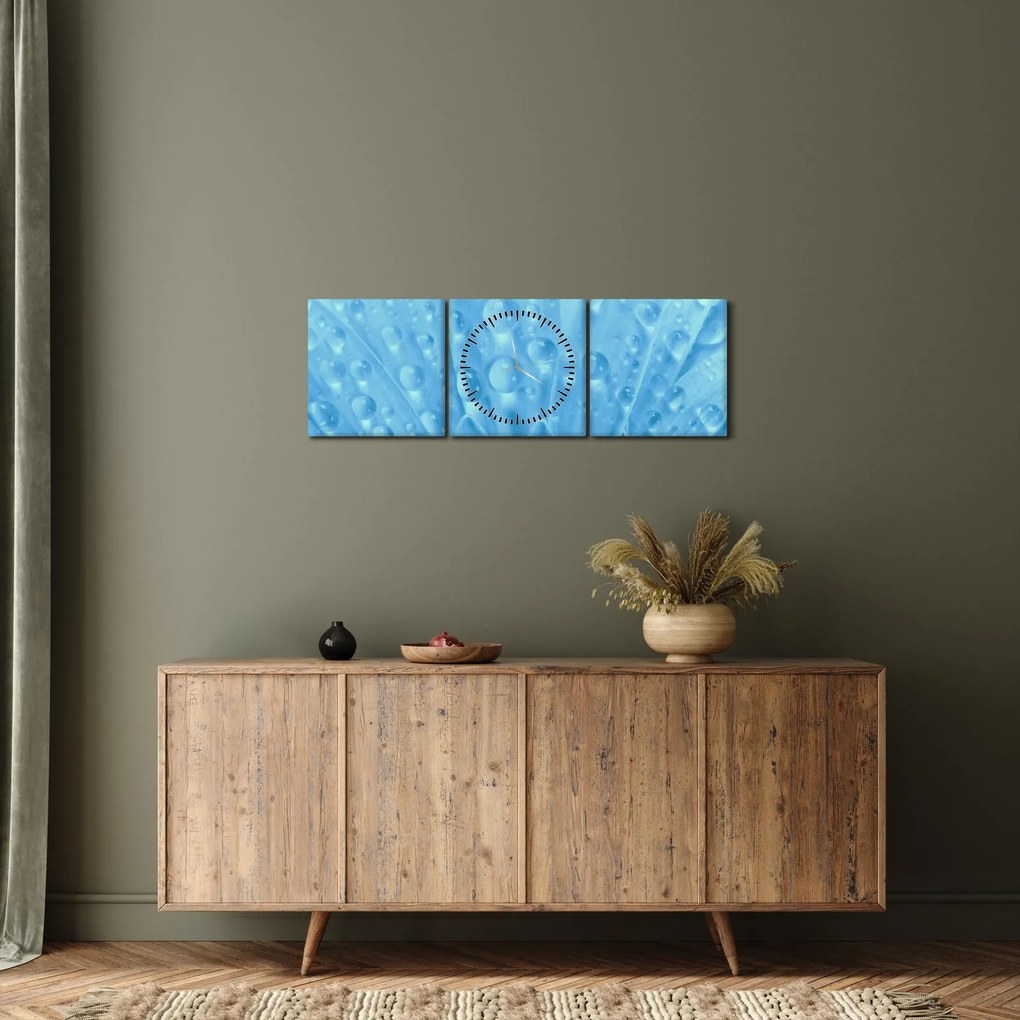 Obraz - Ujęcie makro kwiatu (z zegarem) (90x30 cm)