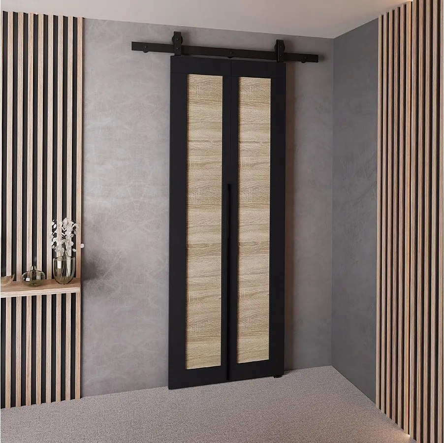 Drzwi Przesuwne QUDIO M1 Czarny + Dąb Sonoma 60