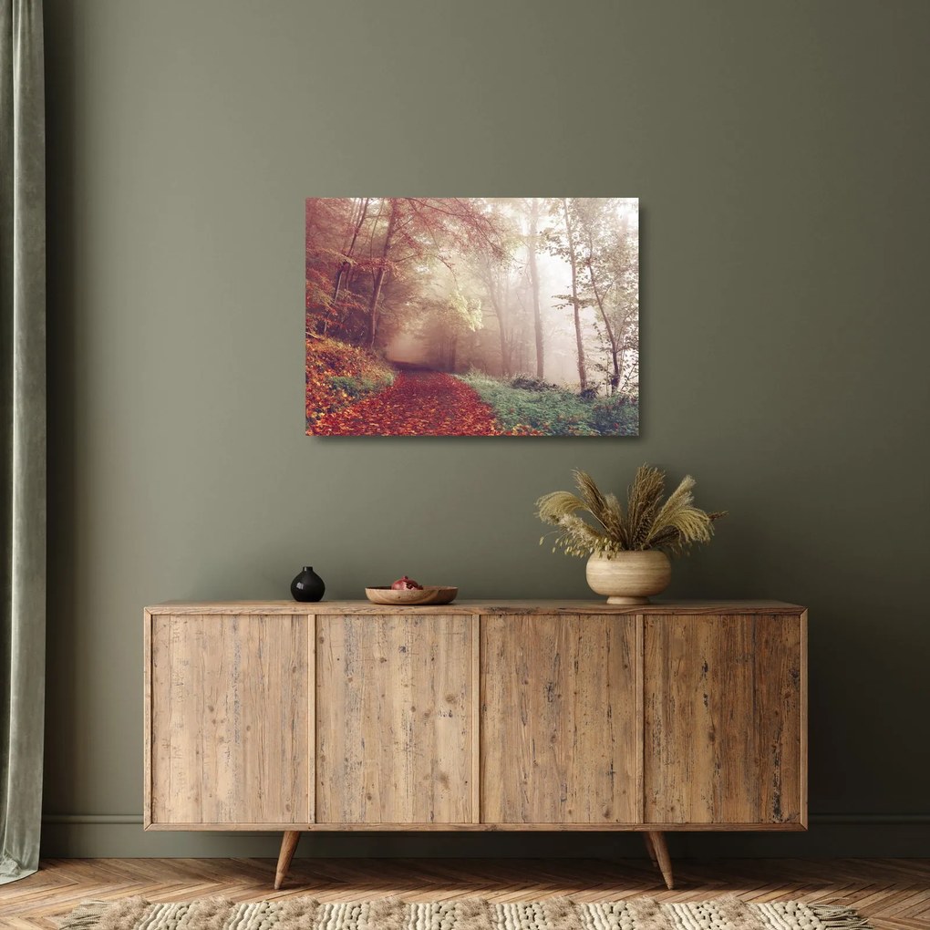 Obraz na szkle - Jesienny spacer po lesie (70x50 cm)