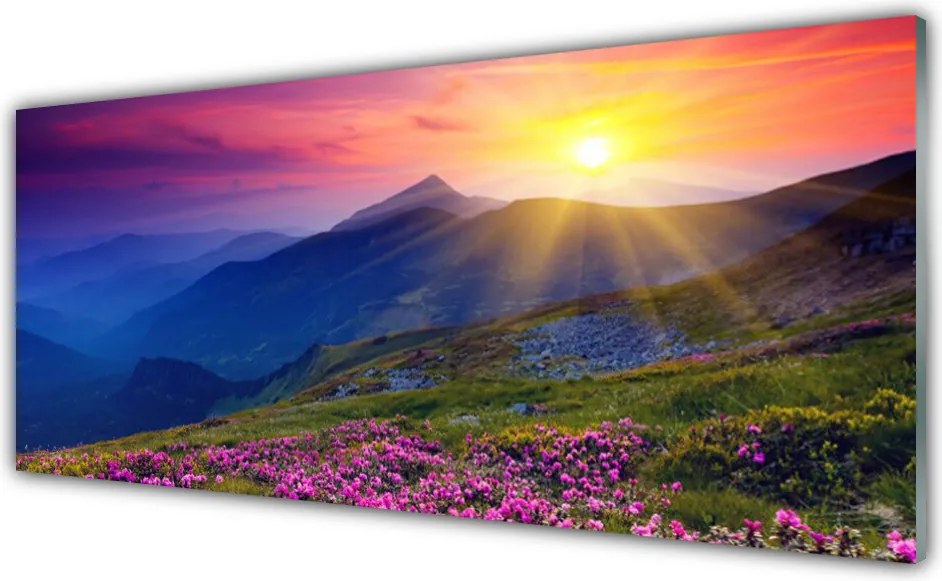 Panel Kuchenny Alpejska Łąka w Kwiatach