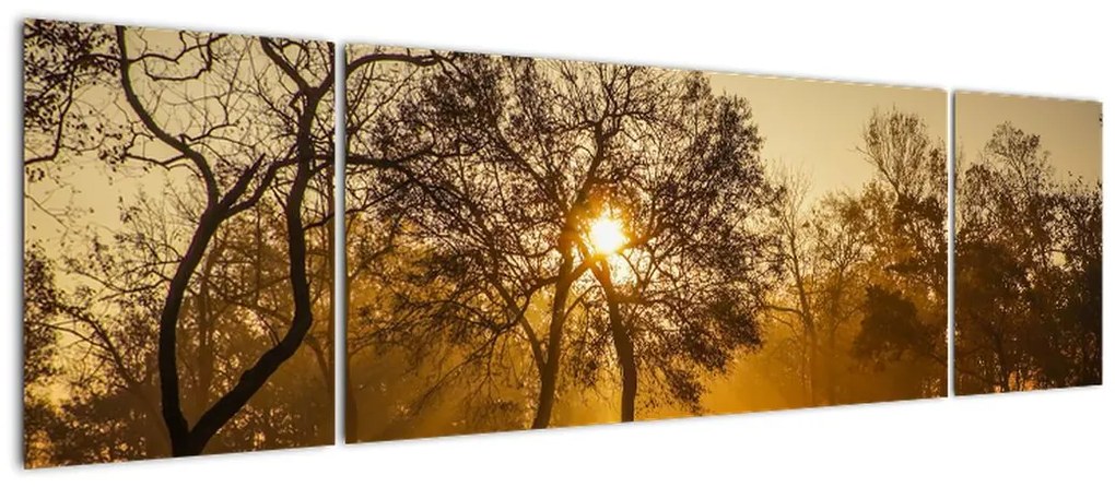 Obraz - Wschód słońca (170x50 cm)
