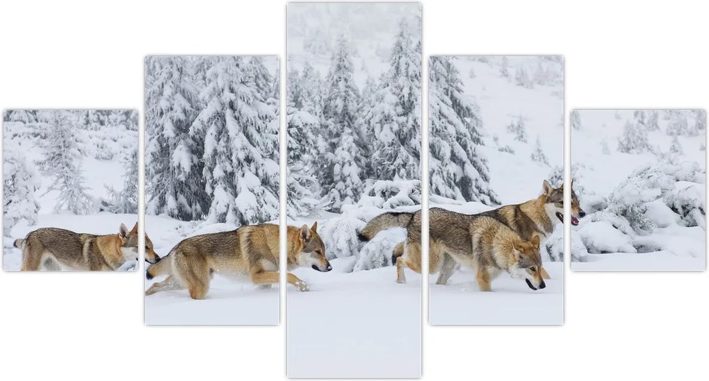 Obraz - Wilki w górach (125x70 cm)