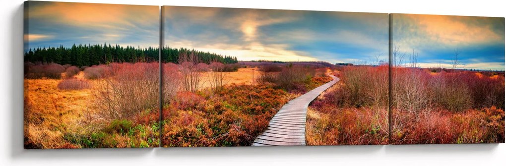 Obraz - Jesienna podróż krainą (170x50 cm)