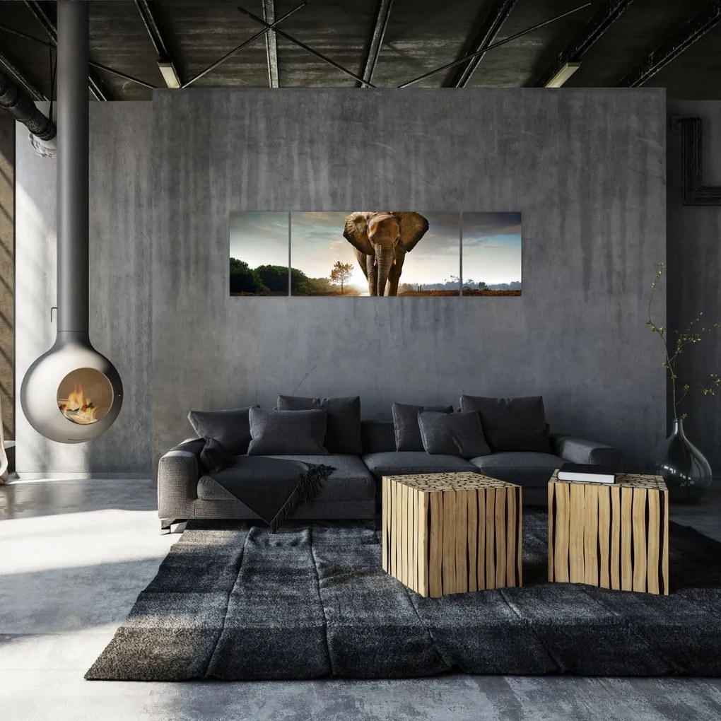 Obraz słonia (170x50 cm)