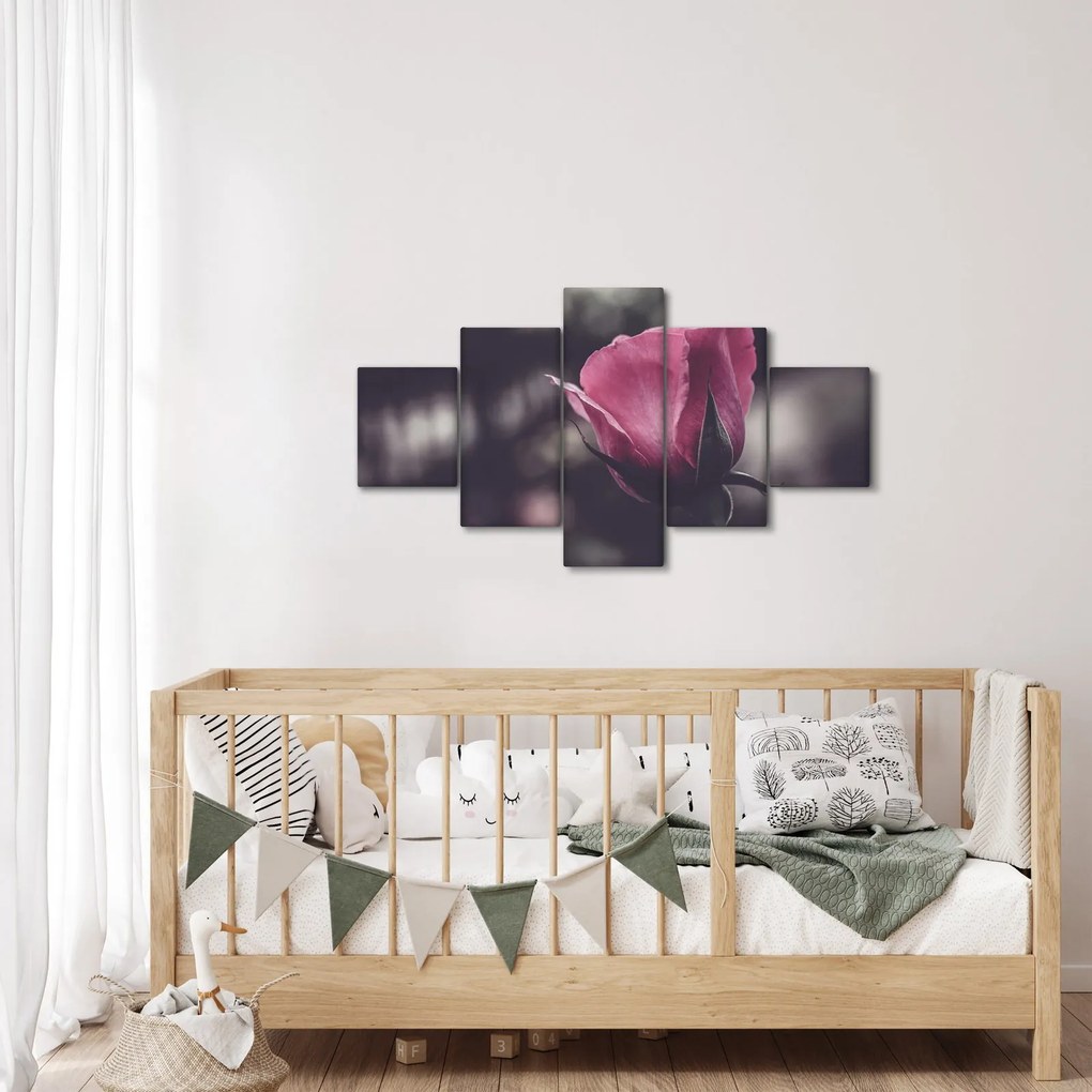 Obraz - Detal kwiatu róży (125x70 cm)