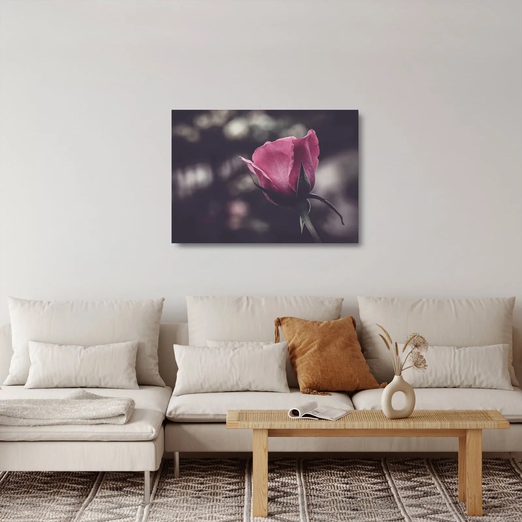 Obraz na szkle - Detal kwiatu róży (70x50 cm)