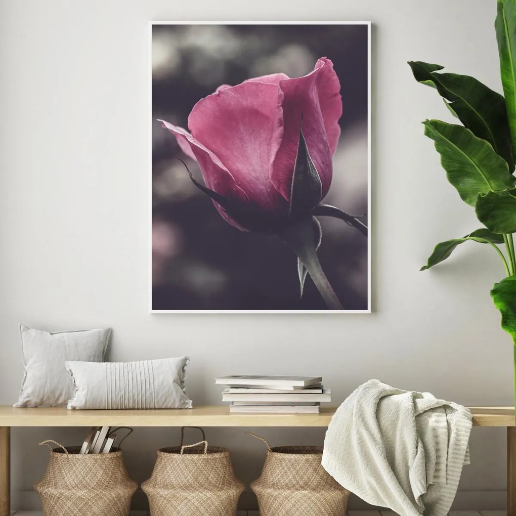 Plakat - Kwiat róży (A4)