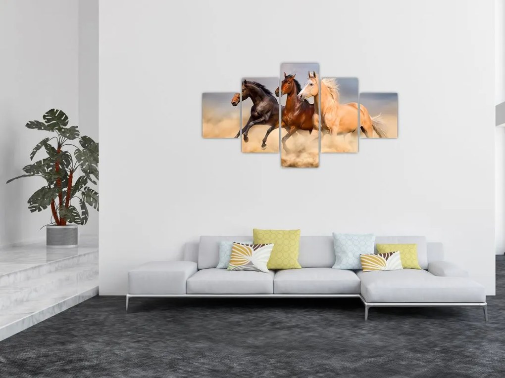 Obraz - Dzikie konie (125x70 cm)