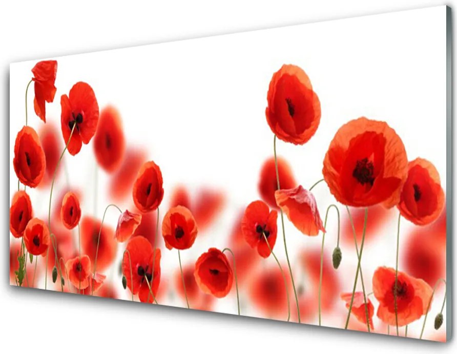 Szkło Dekoracyjne do Kuchni Pole Czerwonych Maków