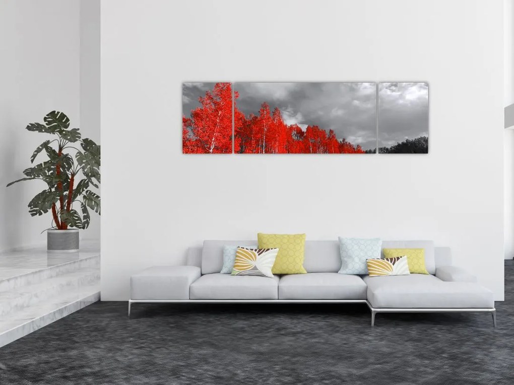 Obraz - Drzewa w kolorze jesieni (170x50 cm)