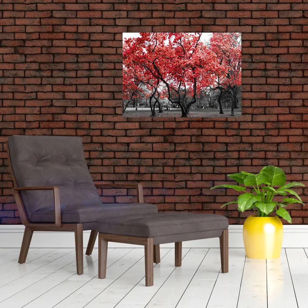 Obraz na szkle - Czerwone drzewa, Central Park, New York (70x50 cm)