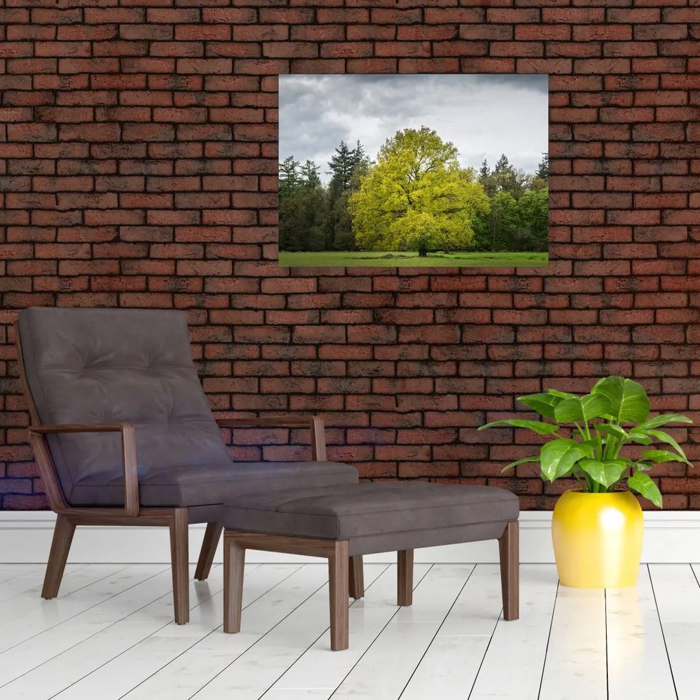 Obraz zielonego drzewa na środku pola (70x50 cm)