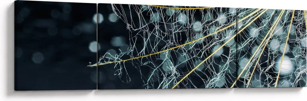 Obraz - Kwiat z pajęczyną (170x50 cm)