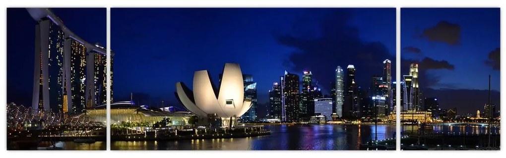 Obraz Singapuru nocą (170x50 cm)