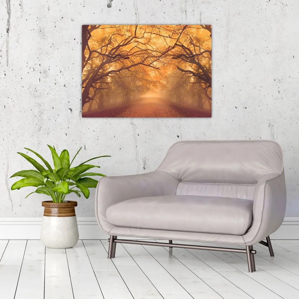 Obraz drogi w jesiennym krajobrazie (70x50 cm)