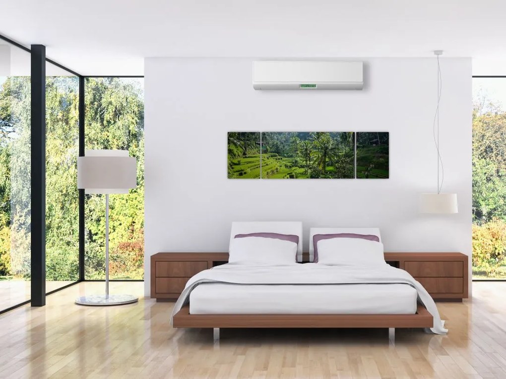 Obraz tarasów ryżowych Tegalalang, Bali (170x50 cm)