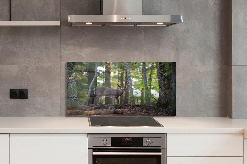 Panel nad Blat Kuchenny Spotkanie z Jeleniem w Puszczy