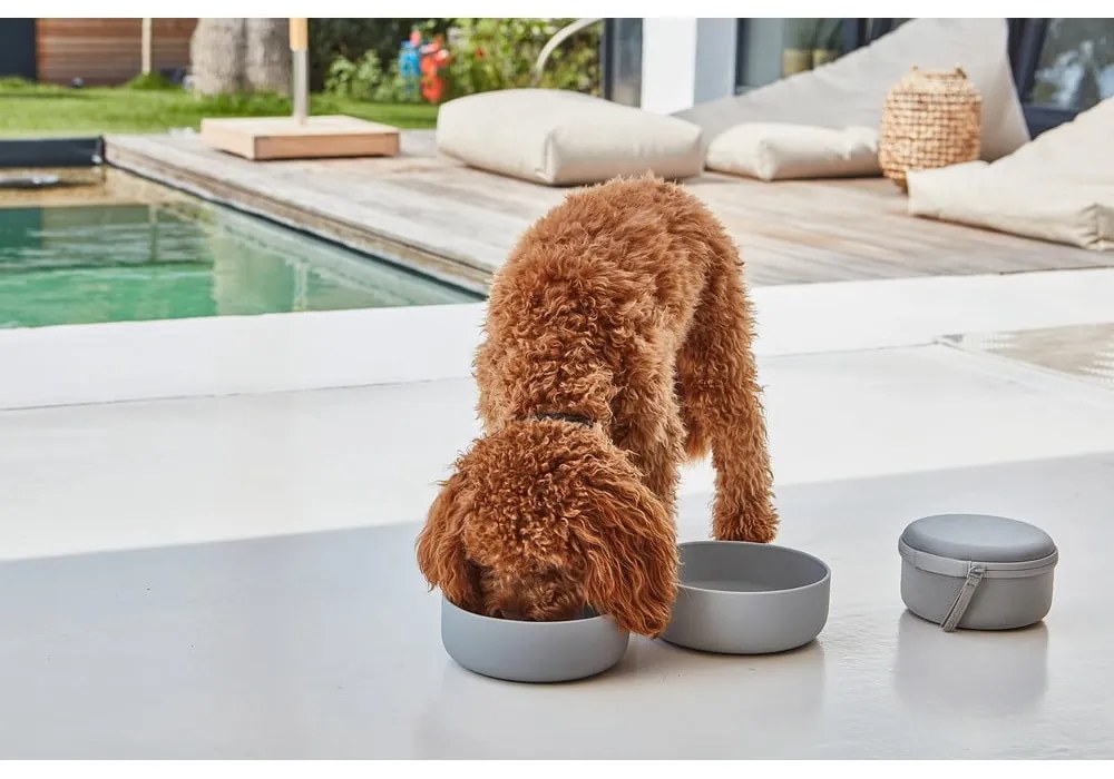 Silikonowy zestaw misek podróżnych dla psów ø 19 cm Bento Concrete/Slate – MiaCara
