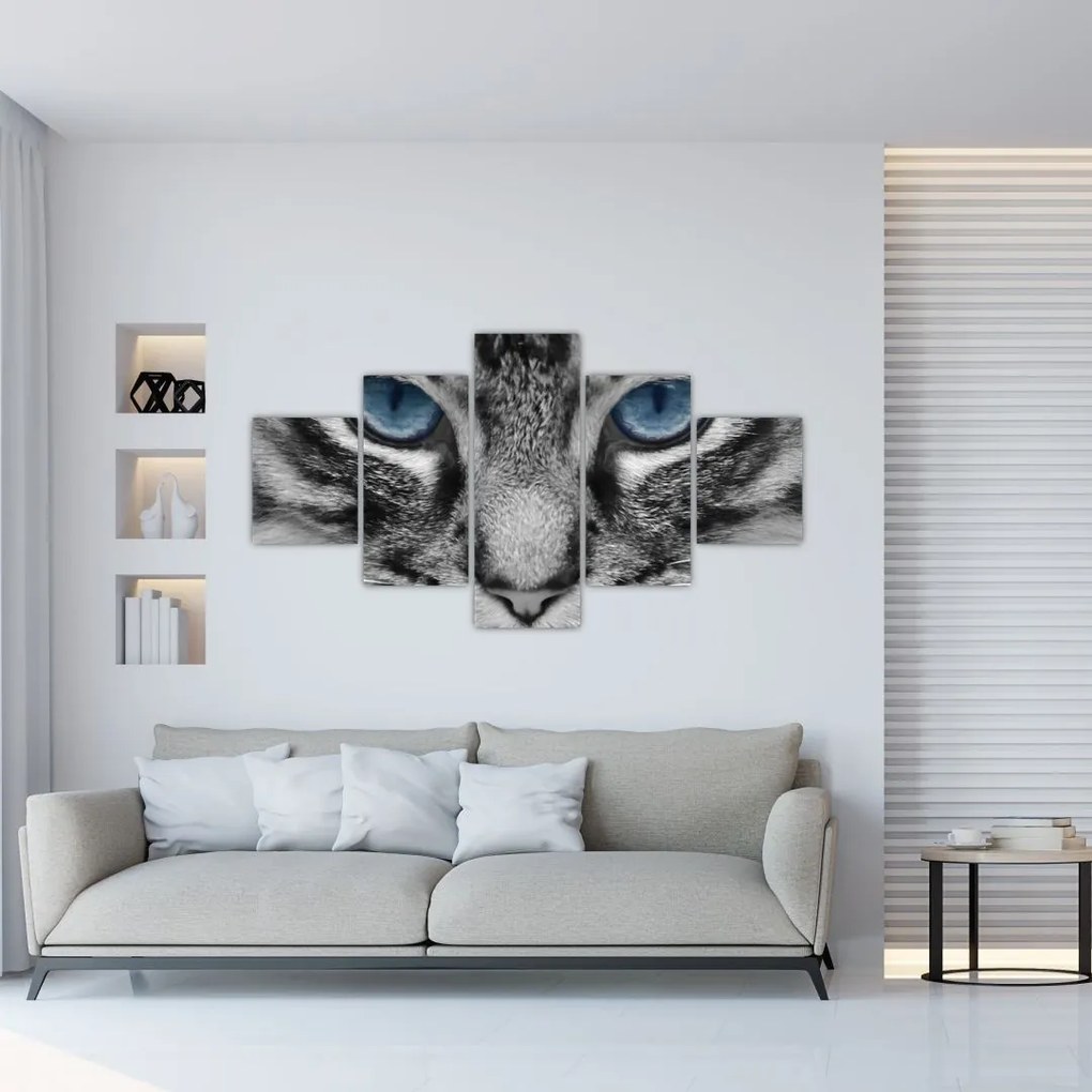 Obraz kota (125x70 cm)
