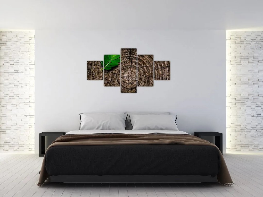 Obraz liścia na pniu drzewa (125x70 cm)