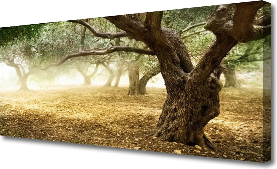 Obraz na płótnie Samotne Drzewo na Polanie