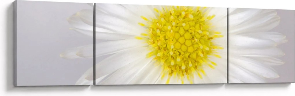 Obraz - Margarita (170x50 cm)