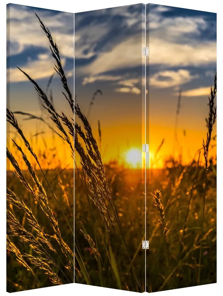 Parawan - Pole o zachodzie Słońca (126x170 cm)