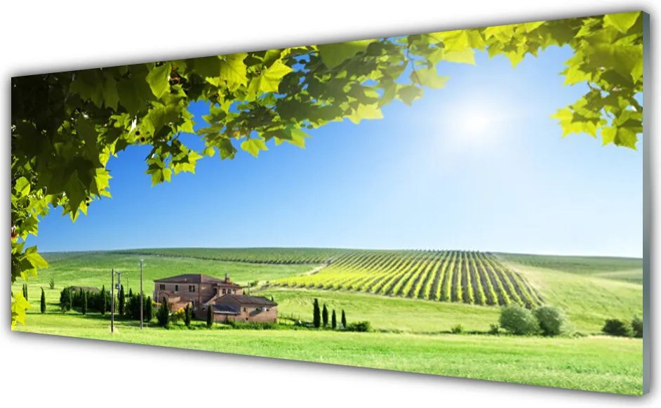 Panel Szklany Jesienne Pole pełne Liści