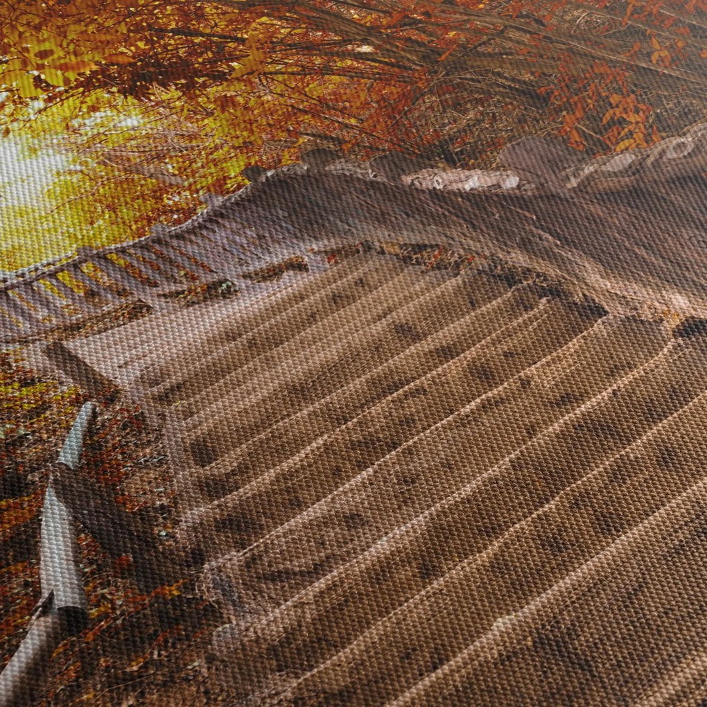 Obraz - Schody w naturze jesienią (170x50 cm)