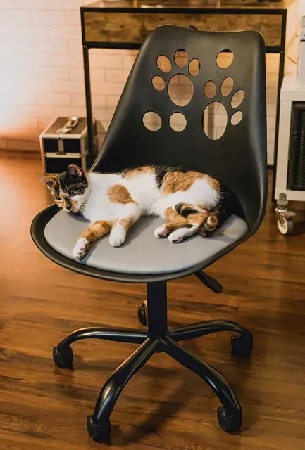 Czarno-szary fotel obrotowy skandynawski D5-Z20