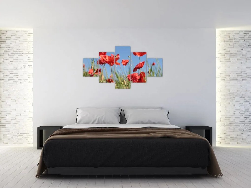 Obraz - Maki (125x70 cm)