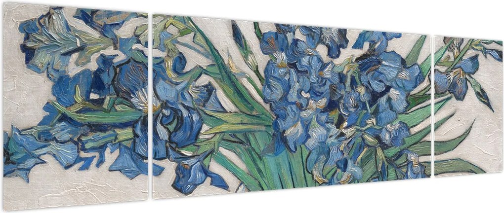 Obraz - Vincent van Gogh, Irises, reprodukcje (170x50 cm)