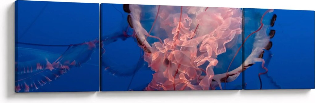 Obraz meduzy (170x50 cm)