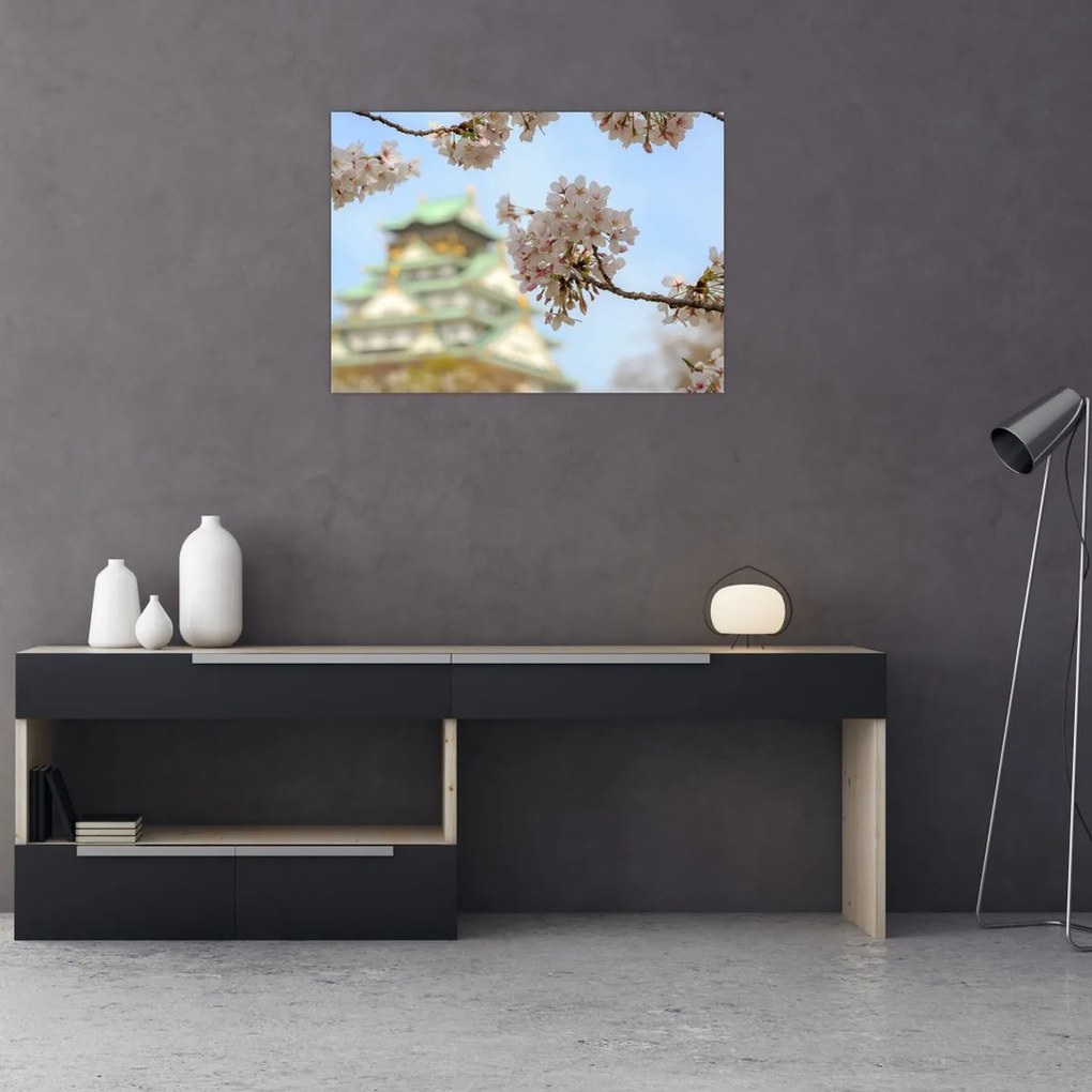 Obraz - Sakura (70x50 cm)