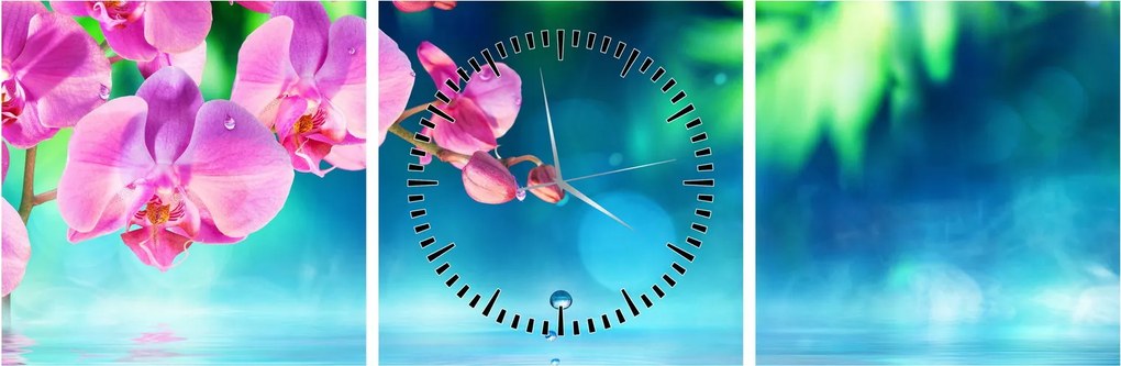 Obraz - Orchidea (z zegarem) (90x30 cm)
