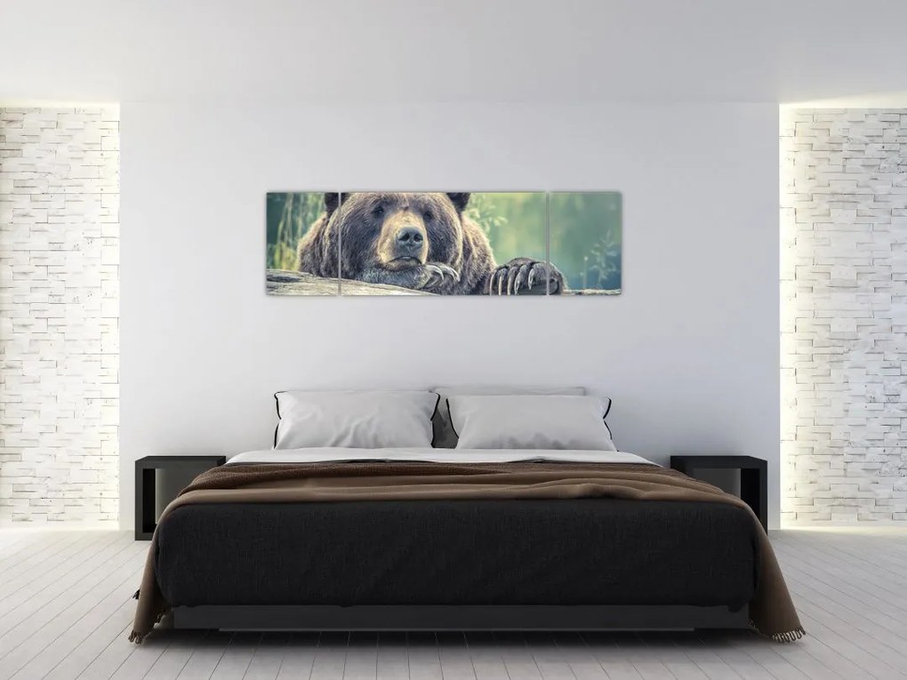 Obraz niedźwiedzia (170x50 cm)