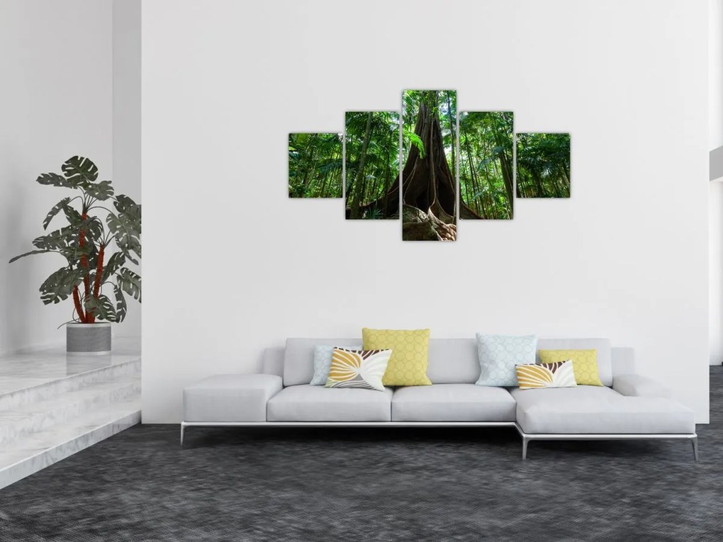 Obraz - Korzenie drzewa (125x70 cm)