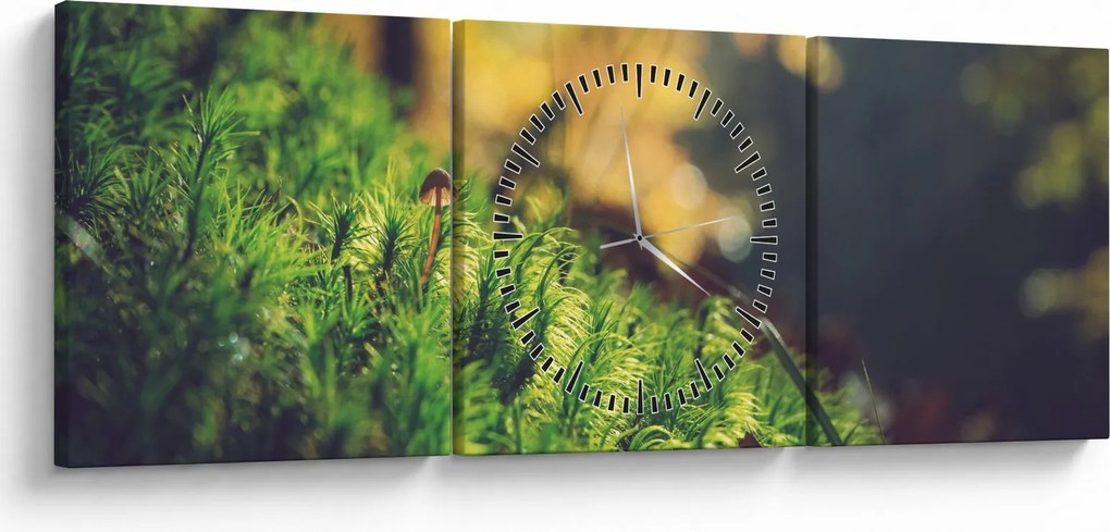 Obraz mchu z grzybem (z zegarem) (90x30 cm)