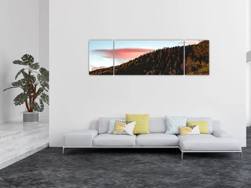 Obraz rudzików nad wzgórzem (170x50 cm)