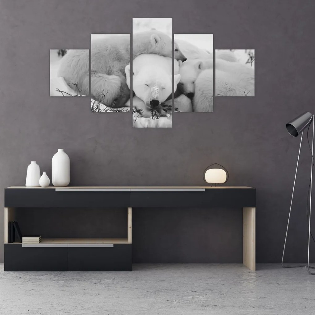 Obraz - Niedźwiedzie polarne (125x70 cm)
