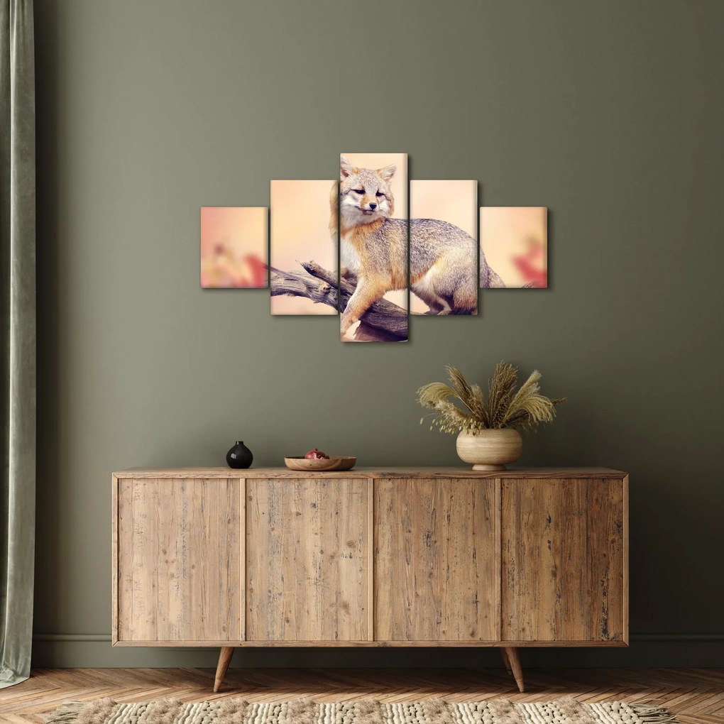 Obraz - Lis (125x70 cm)