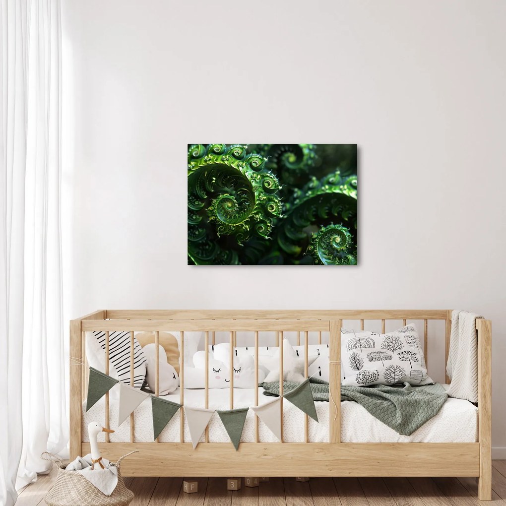 Obraz - Spirale (70x50 cm)