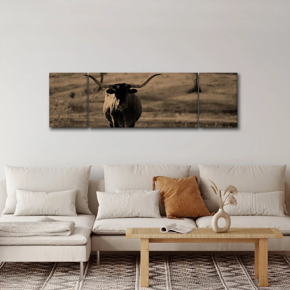Obraz - Krowa z Teksasu (170x50 cm)