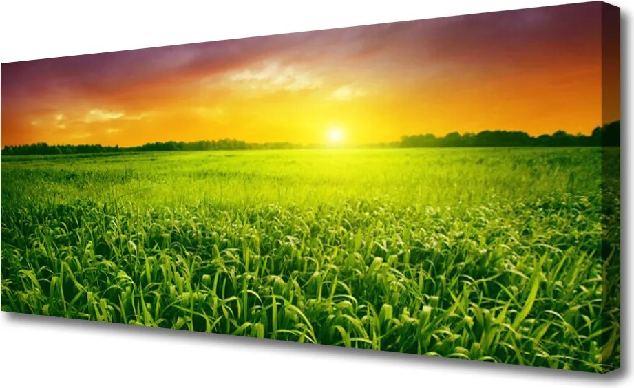 Fotoobraz na płótnie Świt nad Złocistym Zbożem