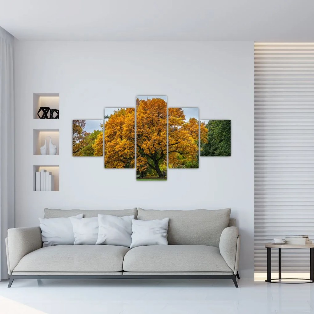 Obraz drzewa (125x70 cm)